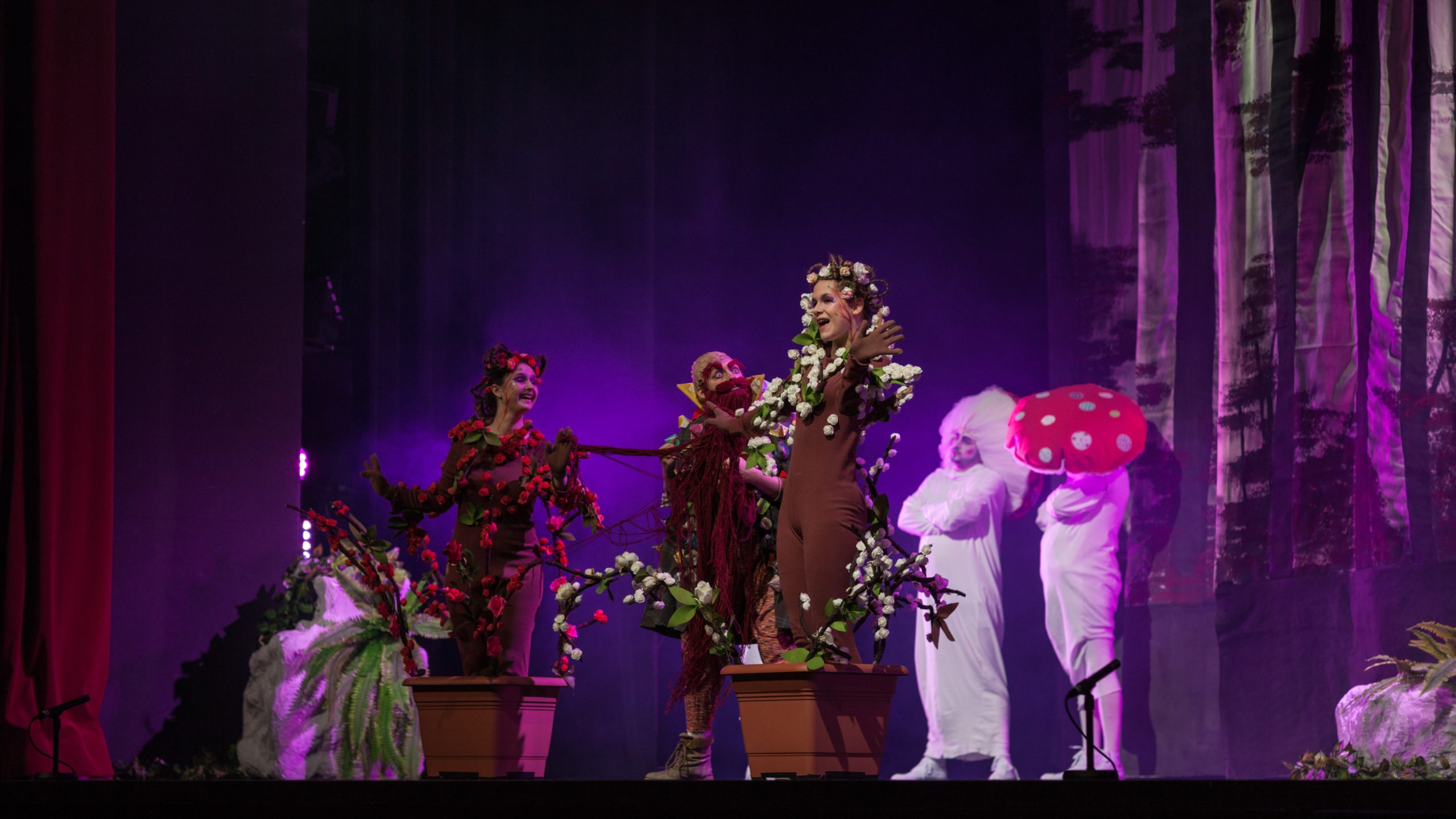 Schneeweißchen und Rosenrot - Weihnachtsmärchen 2019